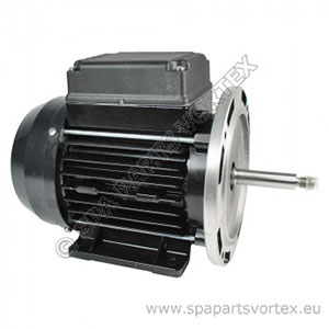 Waterway 1/8HP Iron Might Motor Only